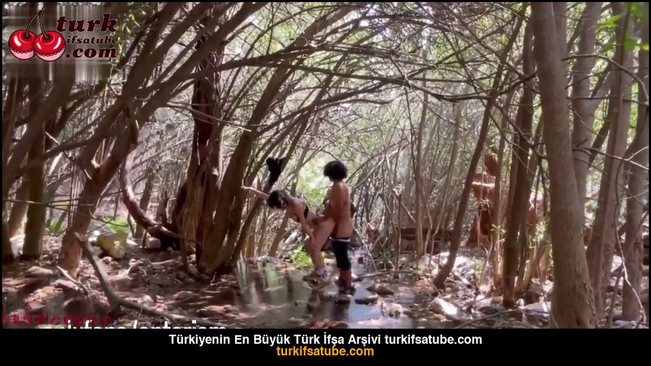 Antarism porno video ormanda harabede