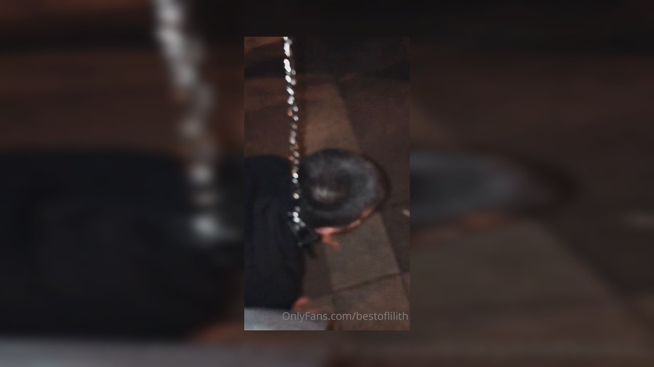 Night walk with my public slave-dog