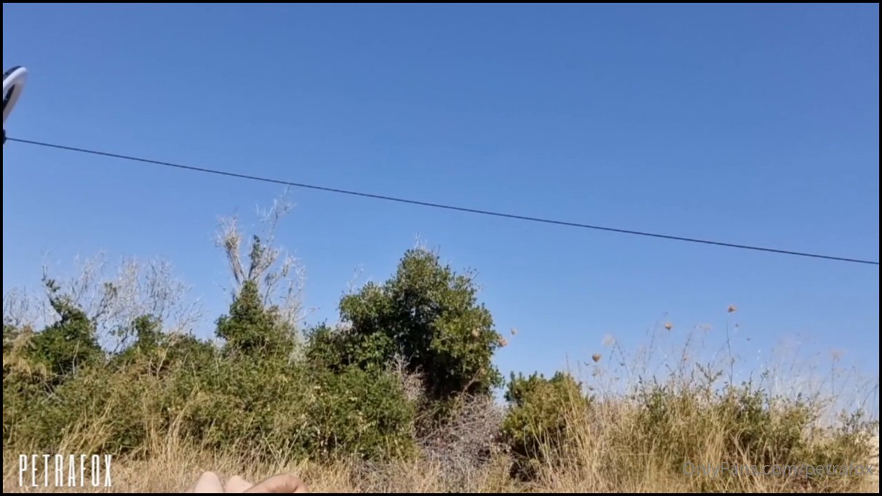 I just wanted to play with balls