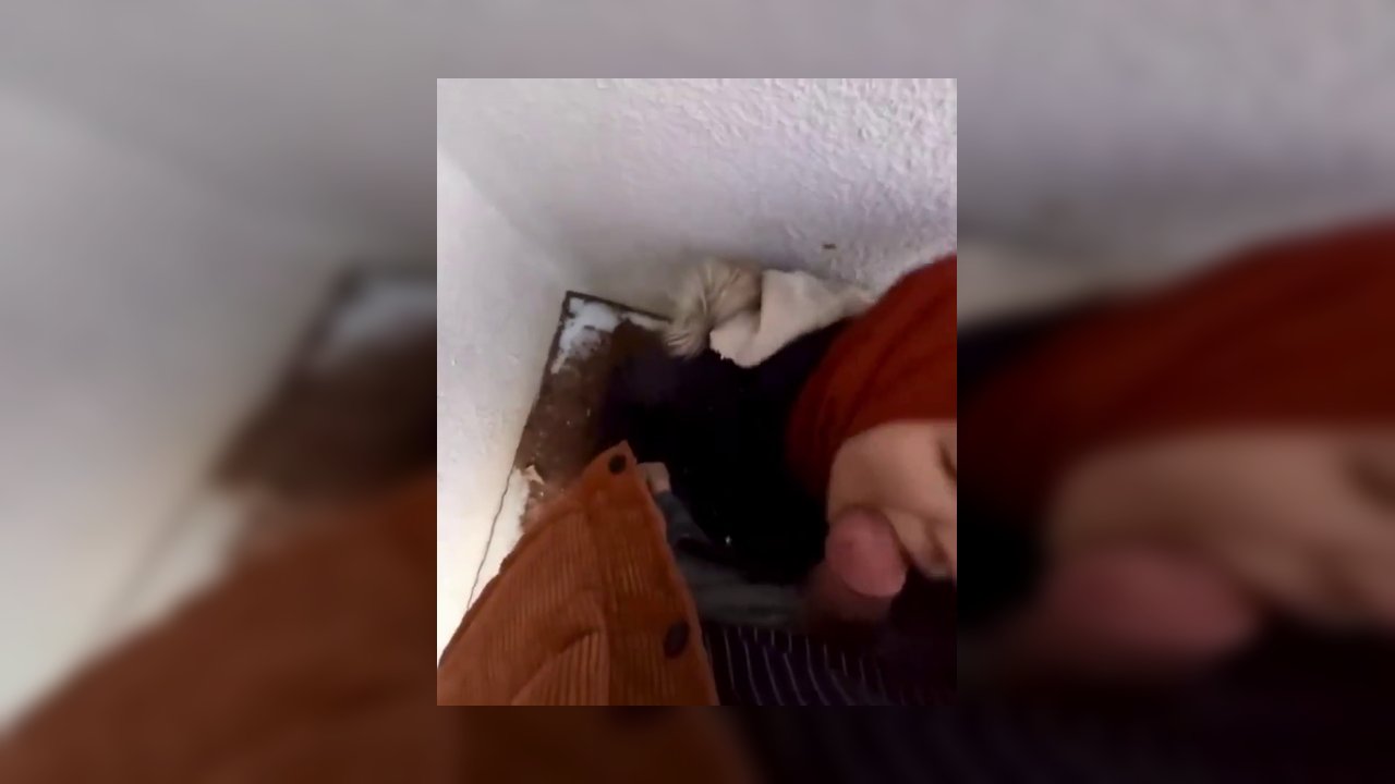 Türbanlı amatör ifşa videoları part 21