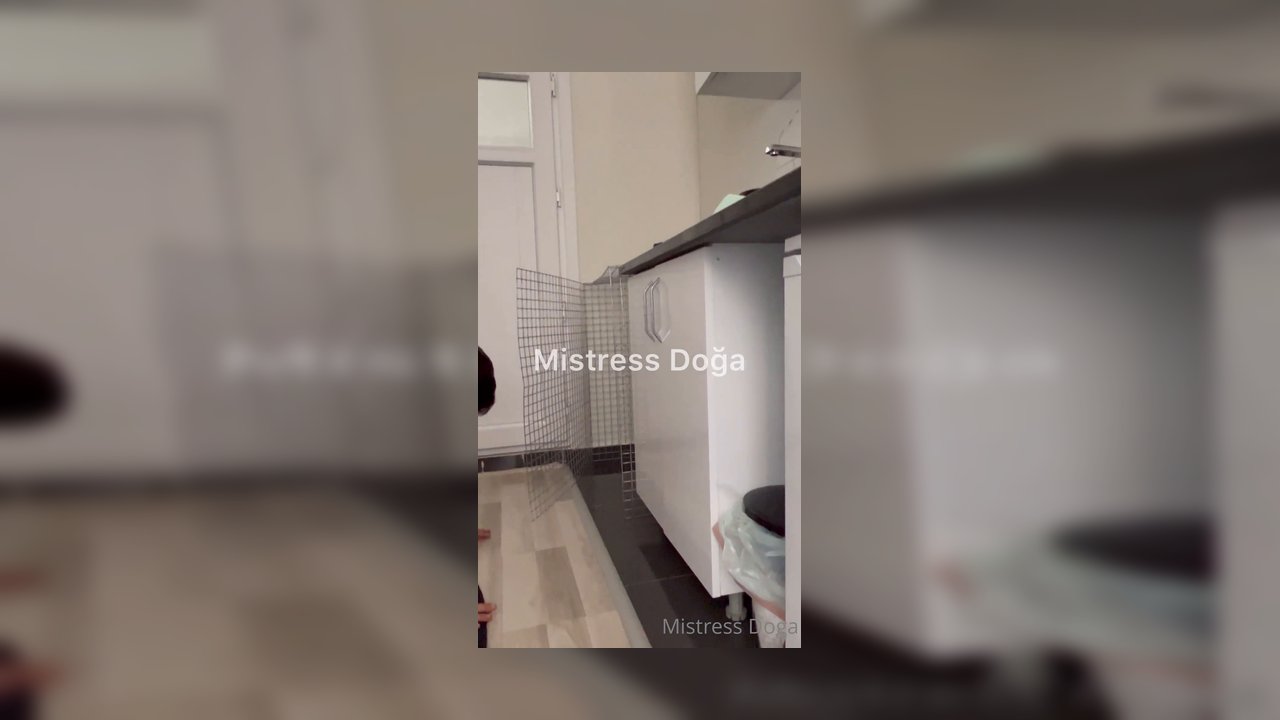 Köpeğimi önce ayaklarımın arasına mahkum ettim sonra kafese