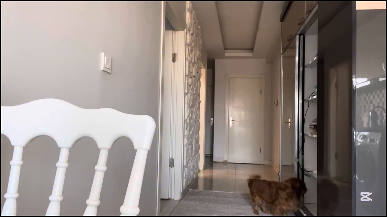 Buse is Life ifşa Youtube Katıl - 17.09.2025