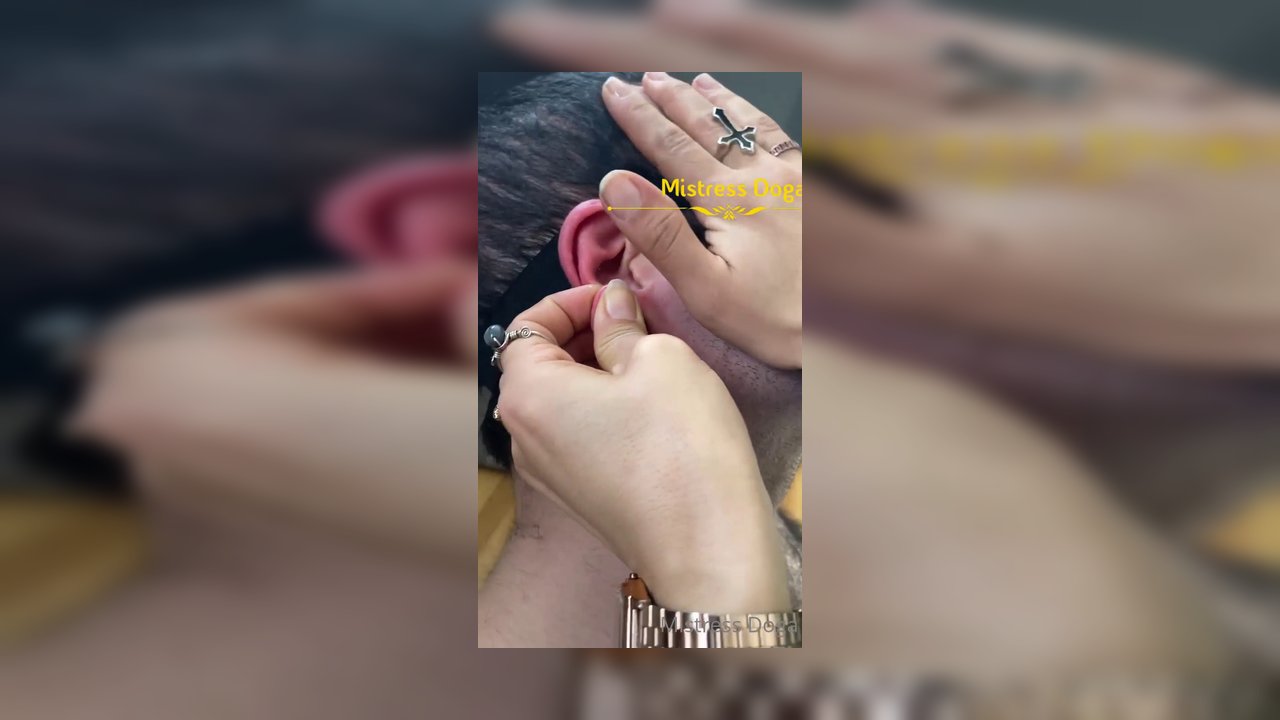 Yavru köpek misin sen amcık!